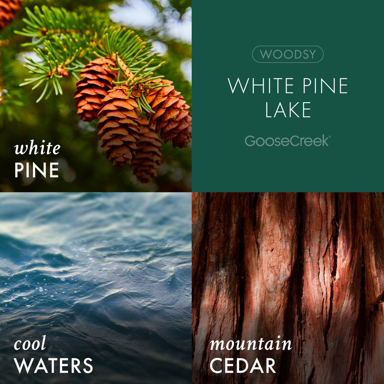 White Pine Lake Foaming Hand Soap - Image 2